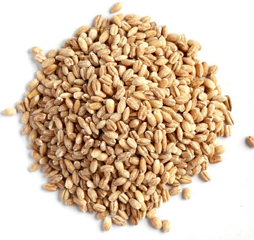 HULLED BARLEY