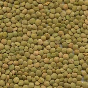GREEN LENTILS