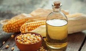 REFINED CORN OIL